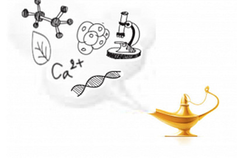 Bencherif Laboratory Research Fund